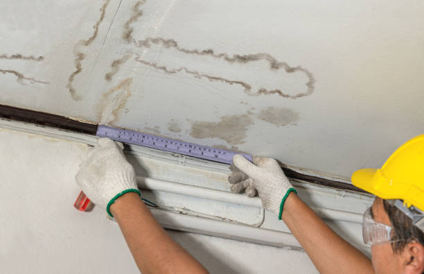 24/7 Emergency Structural Drying experts in Carbondale, IL